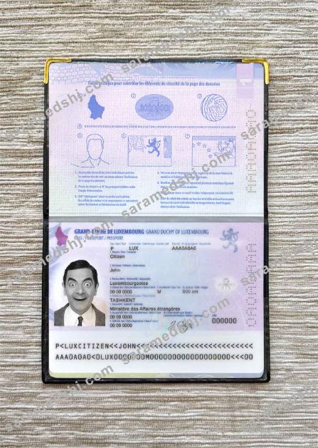 Luxembourg passport photo look
